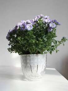2 pezzi di vasi da fiori assorbenti a piante grasse, vasi da fiori in plastica trasparenti per l'auto-irrigazione, adatti per l'idroponica e l'idroponica, ideali per la crescita delle piante, l'appensione di orchidee e forniture per l'orticoltura