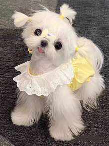 Cute Cat & Dog Dress, Princess Style, Lightweight Summer Dress For Kitten/Puppy, Adorable Floral Lace Dog Clothes, Soft & Breathable, Suitable For Daily Wear, Travel, Photos, Pet Gift