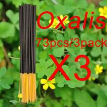 22 cm/8,66 cala Czyste bambusowe kadzidełka, niski popiół, 24 szt./opakowanie, 12 różnych zapachów, odpowiednie do domu, hotelu, pokoju, długotrwały zapach eliminujący nieprzyjemny zapach i oczyszczający powietrze