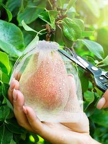 50Pcs/100Pcs Reusable Plant Planting Protection Bags,Fruit & Vegetable Protective Bags With Drawstring Mesh Covers Orchard Net Bags For Grapes, Apples,Grapefruit,And More,Ideal Gardening Insect Shield,Garden Insect Proof Cover,Insect And Bird Barrier - Multicolor - View 8