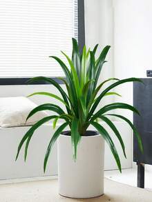 60cm Tall Artificial Spider Plants Tropical Orchid Plants Plastic Green Sword Leaf Fake Dragon Beard Grass For Home Garden Office Wedding Decor Without Pot 1pc - Multicolor - View 2