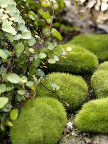 1/5/10PCS Green Microfiber Artificial Moss Balls, Artificial Green Moss Ball, Realistic Faux Moss, Green Decorative Stones, Gardening, Faux Greenery Decorative Stones For Home Decor, Vase And Table Accents, Planter Embellishments, Wedding And Party Decor, Event Decor - Multicolor - View 6