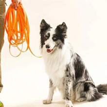 Wodoodporna smycz dla psa - wytrzymała, długa smycz do szkolenia dużych, średnich i małych psów - do codziennych spacerów i szkolenia - idealny prezent dla właścicieli psów