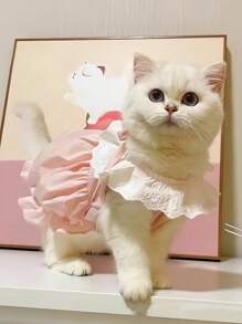 Cute Cat & Dog Dress, Princess Style, Lightweight Summer Dress For Kitten/Puppy, Adorable Floral Lace Dog Clothes, Soft & Breathable, Suitable For Daily Wear, Travel, Photos, Pet Gift