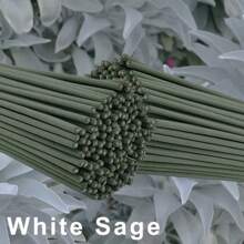 8.66in White Sage Smudge Stick, Suitable For Yoga & Meditation, Purifying, Eliminating Negative Energy, Suitable For Outdoor Camping As Mosquito Repellent