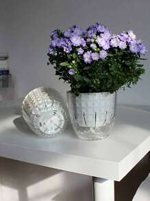 2 pezzi di vasi da fiori assorbenti a piante grasse, vasi da fiori in plastica trasparenti per l'auto-irrigazione, adatti per l'idroponica e l'idroponica, ideali per la crescita delle piante, l'appensione di orchidee e forniture per l'orticoltura
