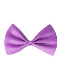 1 件/5 件/10 件可调节纯色领结，适合男孩儿童，可调节单层领结，适合青少年，领结装饰，男孩女孩花童礼服，英伦风格婴幼儿领结，适合婚礼、生日、表演 - 彩色 - 查看 15