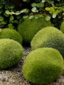 1/5/10PCS Green Microfiber Artificial Moss Balls, Artificial Green Moss Ball, Realistic Faux Moss, Green Decorative Stones, Gardening, Faux Greenery Decorative Stones For Home Decor, Vase And Table Accents, Planter Embellishments, Wedding And Party Decor, Event Decor - Multicolor - View 9