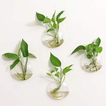 Paquete de 1/2 terrarios de vidrio colgantes para plantas, jarrones colgantes de pared para plantas, decoración hidropónica de interiores - transparente - Ver 1