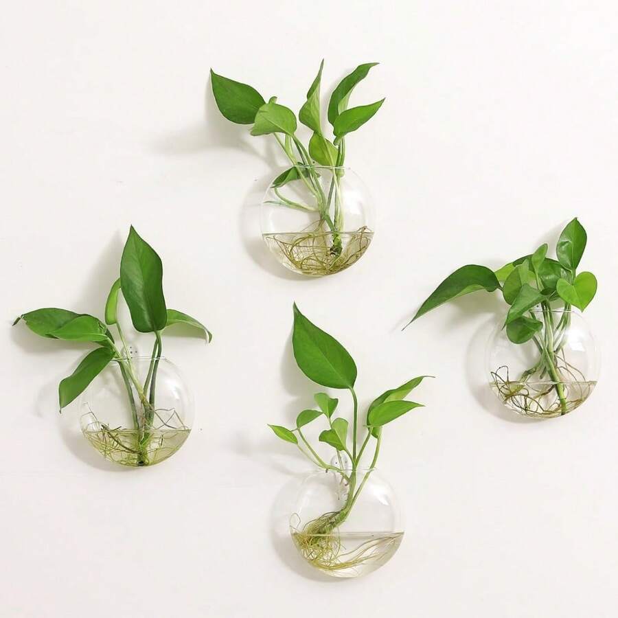 Paquete de 1/2 terrarios de vidrio colgantes para plantas, jarrones colgantes de pared para plantas, decoración hidropónica de interiores - transparente - Ver 1
