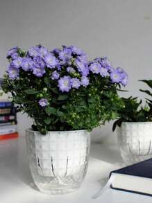 2 pezzi di vasi da fiori assorbenti a piante grasse, vasi da fiori in plastica trasparenti per l'auto-irrigazione, adatti per l'idroponica e l'idroponica, ideali per la crescita delle piante, l'appensione di orchidee e forniture per l'orticoltura