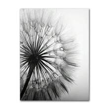1 件客厅抽象墙海报羽毛叶蒲公英花帆布画现代黑白艺术家居礼物可选框架 - 彩色 - 查看 101