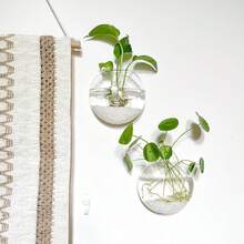 Paquete de 1/2 terrarios de vidrio colgantes para plantas, jarrones colgantes de pared para plantas, decoración hidropónica de interiores - transparente - Ver 4