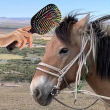 1 bucată perie mare de aer pentru îngrijirea cailor, cu peri de cauciuc antistatic și mâner din plastic ABS, potrivită pentru părul normal și lung, prindere antistatică și confortabilă pentru toate tipurile de păr