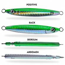 PRO BEROS PROBEROS 海水钓鱼夹具 10g-60g 带辅助钩，发光垂直夹具，快速铅夹具海钓夹具勺形诱饵，适用于金枪鱼、鲑鱼、旗鱼、条纹鲈鱼、石斑鱼、鲷鱼、王鱼 - COLOR D - 查看 8