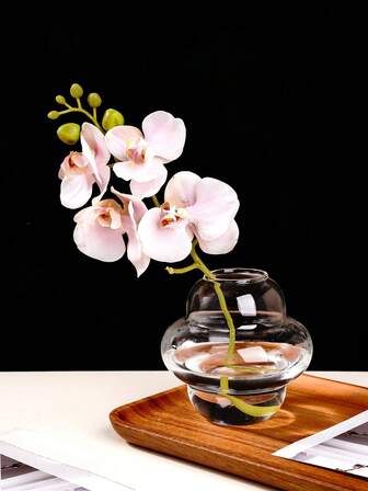 1 pezzo Vaso in vetro dalla forma asimmetrica, semplice vaso in vetro trasparente per idroponica, vaso in vetro soffiato a mano per fiori, decorativo moderno da tavolo per la casa