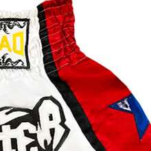 Embroidery Thai Boxing Training Shorts, Kickboxing Fighting Gear