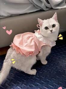 Cute Cat & Dog Dress, Princess Style, Lightweight Summer Dress For Kitten/Puppy, Adorable Floral Lace Dog Clothes, Soft & Breathable, Suitable For Daily Wear, Travel, Photos, Pet Gift