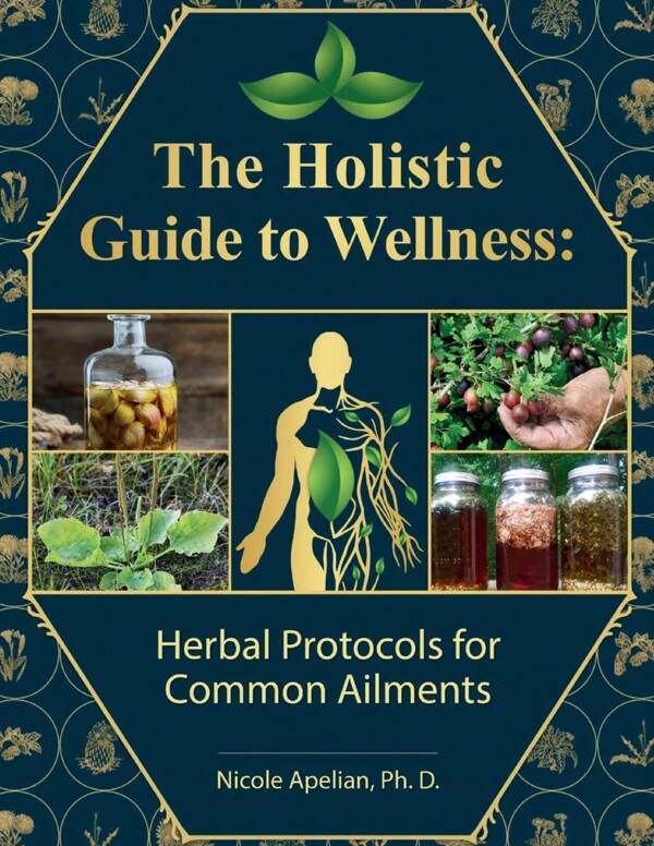 The Holistic Guide To Wellness : Herbal Protocols For Common Ailments