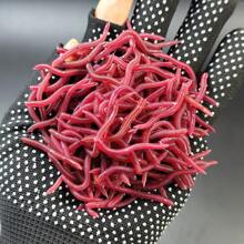 50/100/200/300 pièces d'appâts de pêche souples sous forme de vers - leurres en plastique en forme de grubs rouges avec un design réaliste de vers et une odeur attrayante pour les poissons