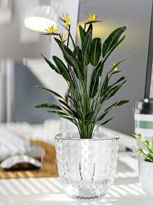 2 pezzi di vasi da fiori assorbenti a piante grasse, vasi da fiori in plastica trasparenti per l'auto-irrigazione, adatti per l'idroponica e l'idroponica, ideali per la crescita delle piante, l'appensione di orchidee e forniture per l'orticoltura
