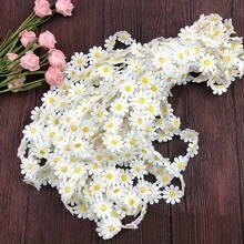 6 Yards Daisy Flower Lace Trim Ribbon - 0.98 Inch Width Fabric Embroidered Applique Ribbon For DIY Crafts And Projects - White Floral Pattern Lace Decoration