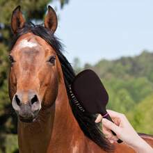 1 bucată perie mare de aer pentru îngrijirea cailor, cu peri de cauciuc antistatic și mâner din plastic ABS, potrivită pentru părul normal și lung, prindere antistatică și confortabilă pentru toate tipurile de păr