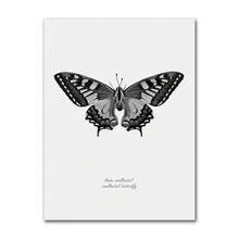 1 件客厅抽象墙海报羽毛叶蒲公英花帆布画现代黑白艺术家居礼物可选框架 - 彩色 - 查看 45