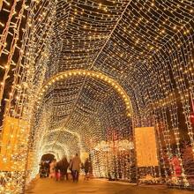 1 Pc 3M20 Light LED Christmas Lights Room Decor Home Warm And Colored LED Light For Room Battery Box Switch PVC Material Party Supplies Birthday For House Decor Halloween Camping Yard Decor Daily Use ( Without Battery )