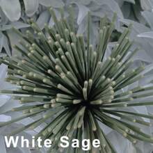 8.66in White Sage Smudge Stick, Suitable For Yoga & Meditation, Purifying, Eliminating Negative Energy, Suitable For Outdoor Camping As Mosquito Repellent