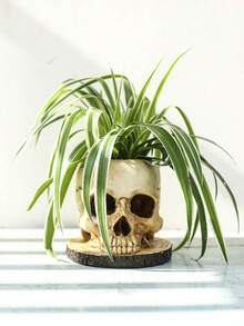 Maceta/Recipiente para caramelos con diseño de cráneo gótico para Día de Muertos y Halloween - Decoración duradera y versátil para interiores y exteriores - Multicolor - Ver 6