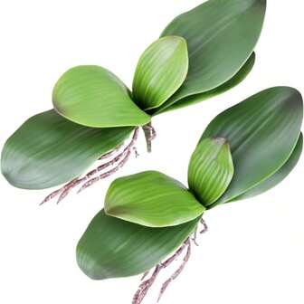 2/4/6 pezzi di foglie di orchidea phalaenopsis artificiale per decorazione domestica