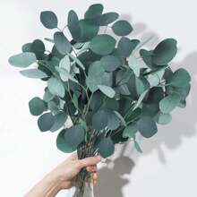 Tallos de eucalipto secos y preservados, 5-10 piezas 100% hojas de dólar de plata natural real para llenar jarrones, ramas de plantas de eucalipto frescas de 15-17" para arreglos florales, decoración del hogar y bodas (2.8 oz)
