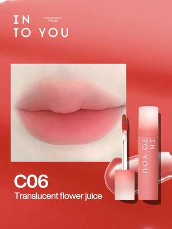 INTO YOU 哑光唇彩化妆品唇釉持久唇彩保湿防水持久速干成膜唇妆（C06）