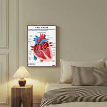 1/3pcs Human Anatomy Poster, Science Posters Optional Frame, Human Biology, 6 Poster, High School Science, Educational Poster, Classroom Decor, Wall Arts ,Wall Art With Frame - Multicolor - View 7