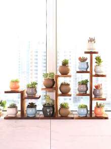1 Peça Prateleira de Madeira Flutuante para Janela/Sacada Multiníveis para Plantas Suculentas, Estante Decorativa de Armazenamento para Decoração de Mesa da Sala de Estar Interna e Decoração Externa