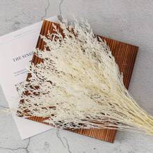Ramo de hierba blanca preservada, manojo de hierba seca, relleno de jarrón, arreglo de flores secas, elaboración de coronas, escena de boda de otoño, decoración del hogar, decoraciones de Pascua (57,9 cm)
