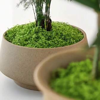 Polyester kunstmos, 30g/50g/80g/100g, geschikt voor zelfgemaakte glazen potten en decoratieve landschapsarchitectuur - ideaal voor Kerstmis, Thanksgiving, St. Patrick's Day, Palmzondag, kransen, beterschapswensen en meer. DIY knutselkunstwerk van synthetisch groen voor huis, kamer en tuin.