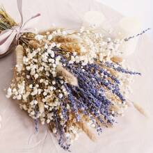 Stagione Torna a Scuola [profumo di Lavanda Campestre] Stile Campestre di San Valentino 1 Mazzo di Lavanda Naturale e profumo Secco di Giovani - Vaso Cielo Stellato Viola e Bianco, Adatto per Matrimoni, Decorazione Domestica, Ghirlande fai-da-te e Accessori Fotografici, Fiori dai Toni Neutri, Miglior Regalo per la Festa della Mamma, Decorazioni Autunnali