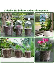 10sets-Clear Nursery Pots With Humidity Dome, 10CM Plastic Plant Pot Seedling Start Pots Flower Pot With Drain Holes For Flower Plant See,Gardening Supplies,Gardening,Garden,Pots For Plants,Room Decor,Home Decor,DIY Gardening Signs,Transparent Plastic Gardening Pot Planting Containers Cups Planter Small Starter Seed Starting Trays For Seedling (Clear) - 透明色 - 查看 4