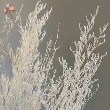 Ramo de hierba blanca preservada, manojo de hierba seca, relleno de jarrón, arreglo de flores secas, elaboración de coronas, escena de boda de otoño, decoración del hogar, decoraciones de Pascua (57,9 cm)