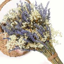Stagione Torna a Scuola [profumo di Lavanda Campestre] Stile Campestre di San Valentino 1 Mazzo di Lavanda Naturale e profumo Secco di Giovani - Vaso Cielo Stellato Viola e Bianco, Adatto per Matrimoni, Decorazione Domestica, Ghirlande fai-da-te e Accessori Fotografici, Fiori dai Toni Neutri, Miglior Regalo per la Festa della Mamma, Decorazioni Autunnali