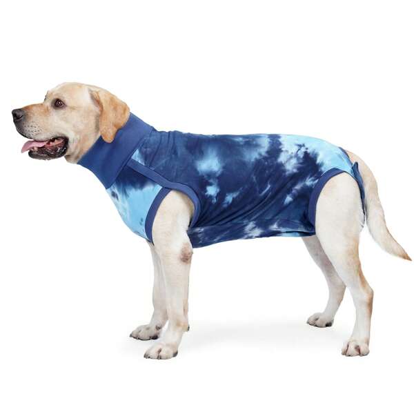 Combinaison de récupération après chirurgie pour chien pour plaie abdominale, alternative au collier élisabéthain après chirurgie, protège la plaie des soins et des griffures, combinaison postopératoire pour chien