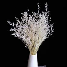 Ramo de hierba blanca preservada, manojo de hierba seca, relleno de jarrón, arreglo de flores secas, elaboración de coronas, escena de boda de otoño, decoración del hogar, decoraciones de Pascua (57,9 cm)
