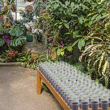 3/6/12pcs 4-Inch Soft Nursery Plant Pots, With Humidity Dome, Seedling Starter Trays, Small Planter Containers