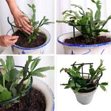 4/12/24/40 petits supports de plantes, arcs en demi-rond en plastique, supports de plantes vertes de fleur grasse convenant pour les plantes en pot, supports de fleurs et de tomates de jardin