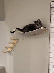 1 件松木猫墙家具，壁挂式猫树，猫栖木，猫梯，猫吊床，可供玩耍、攀爬和睡觉，最大承重 12 公斤（26 磅） - 杏色 - 查看 4