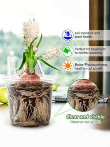 10sets-Clear Nursery Pots With Humidity Dome, 10CM Plastic Plant Pot Seedling Start Pots Flower Pot With Drain Holes For Flower Plant See,Gardening Supplies,Gardening,Garden,Pots For Plants,Room Decor,Home Decor,DIY Gardening Signs,Transparent Plastic Gardening Pot Planting Containers Cups Planter Small Starter Seed Starting Trays For Seedling (Clear) - 透明色 - 查看 2