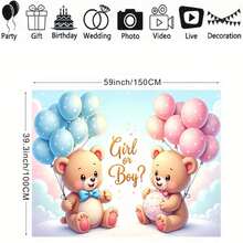 Gender Reveal Backdrop, Boy/Girl Family Party Photography Background, Blue Or Pink Bear Banner Prop - G - View 4