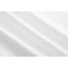 2025- Cartoon-Style Illustration Of A T-Rex With A Roaring Expression - trắng - Xem 8